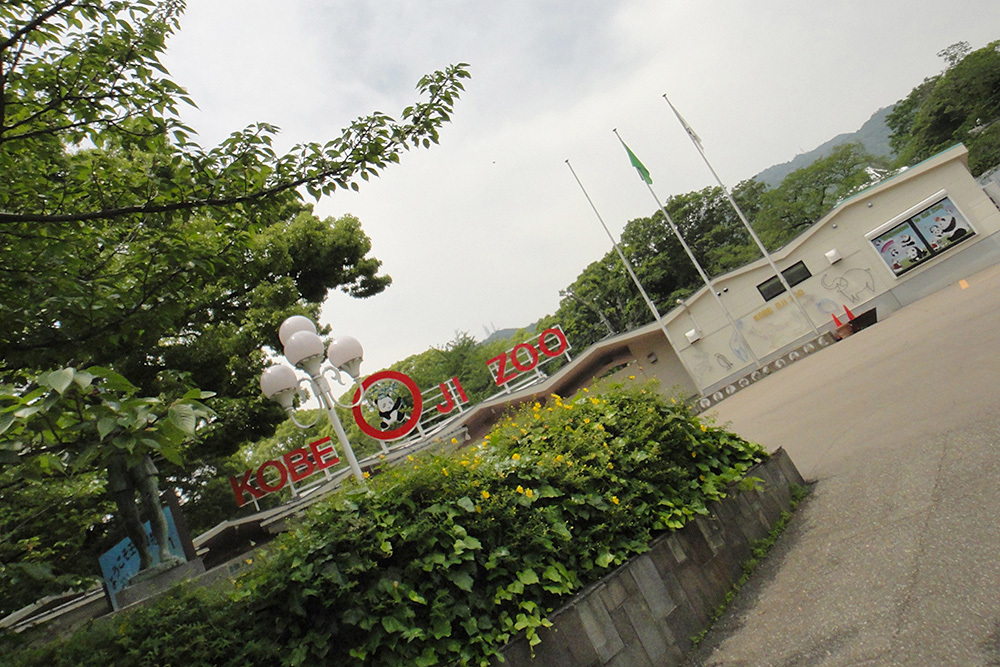 d0347663_00342602.jpg