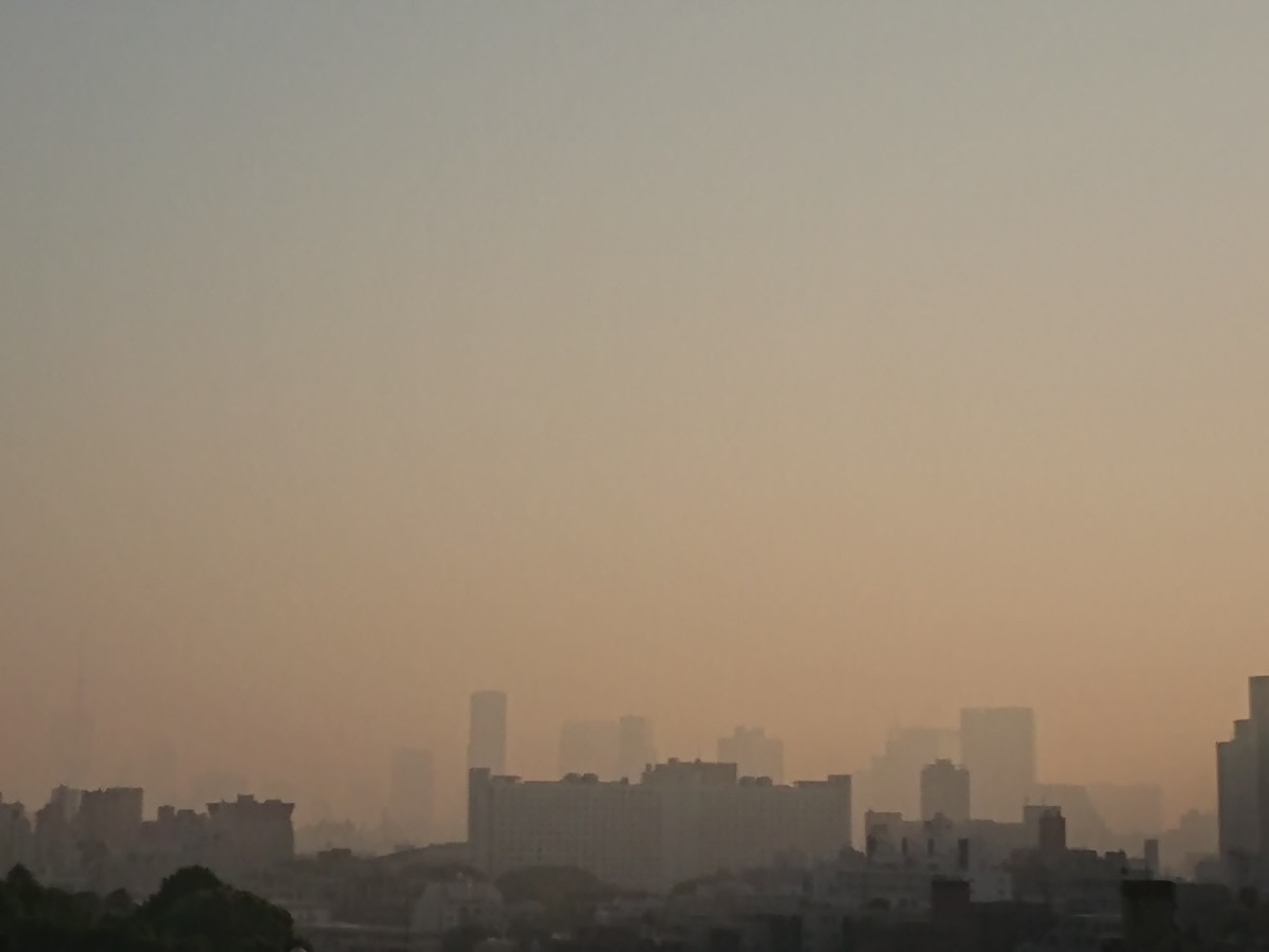 c0100865_05343729.jpg