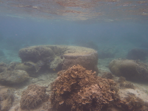a0309466_17164036.jpg