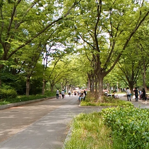 f0200871_00471845.jpg