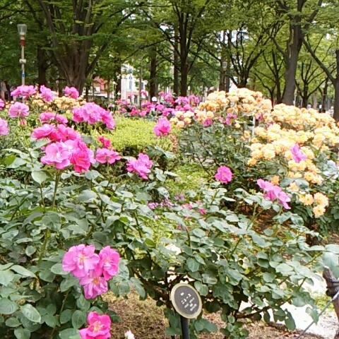 f0200871_00471980.jpg