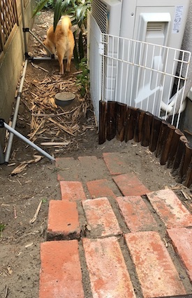 あれから アトリエkotori のほほん柴犬日和 あれから アトリエkotori のほほん柴犬日和