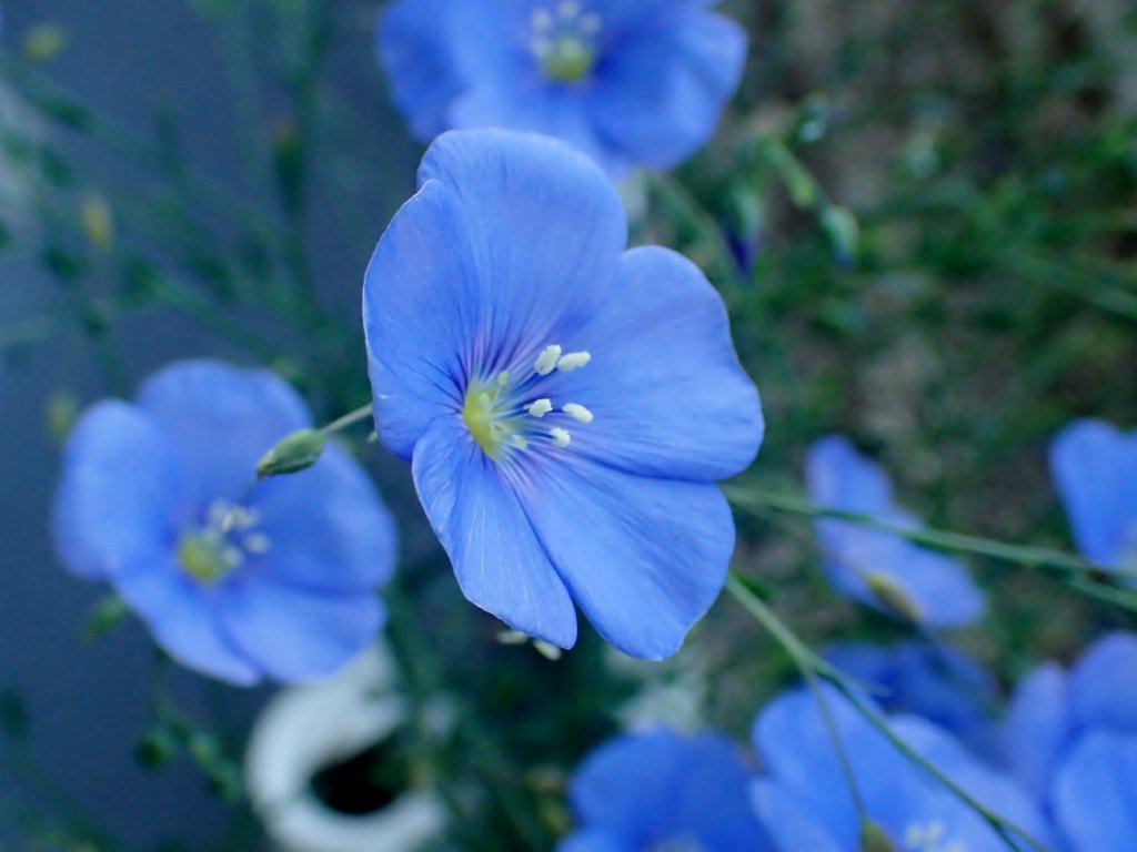 c0183777_1444122.jpg