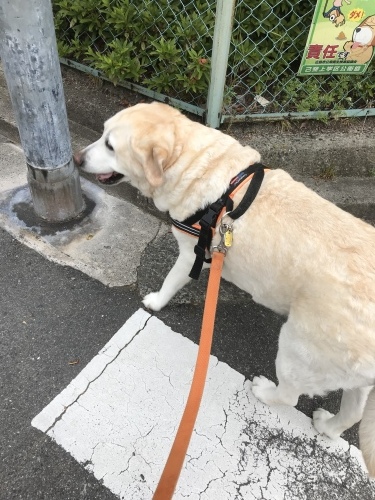 f0315081_21435735.jpeg