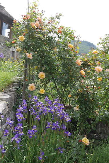 a0278382_04092167.jpg