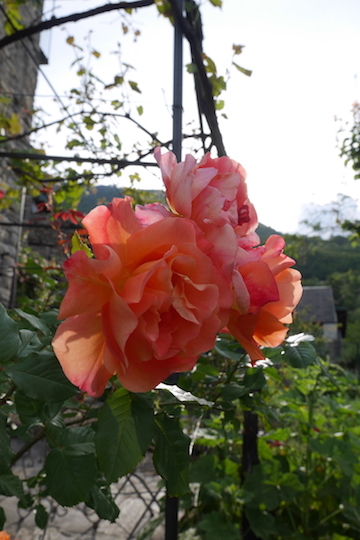 a0278382_04105194.jpg