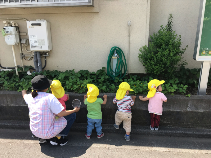 保育の様子♪ホールクラス_c0293682_14334593.jpg