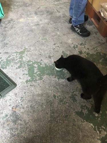 a0216583_22161721.jpeg