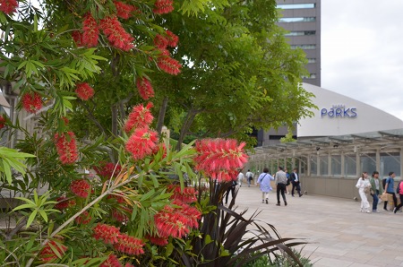 c0229483_106942.jpg