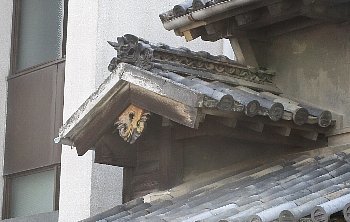 f0003283_16050313.jpg