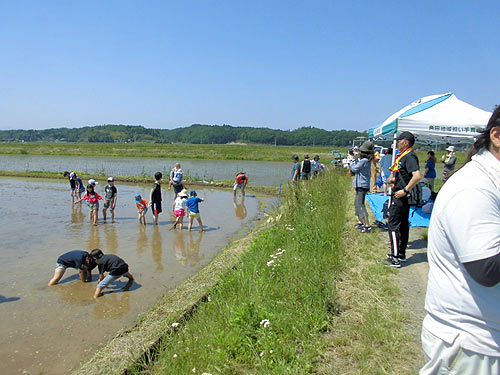 田植え体験（目黒角田絆交流）_d0247484_1137811.jpg