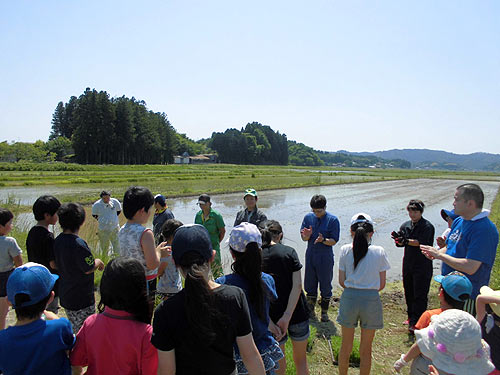 田植え体験（目黒角田絆交流）_d0247484_11394896.jpg