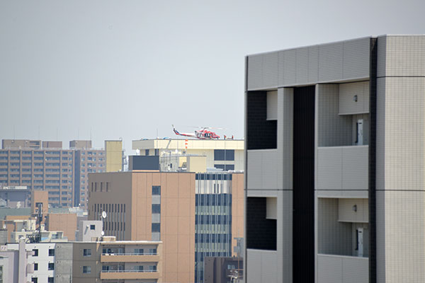 f0212586_1129398.jpg