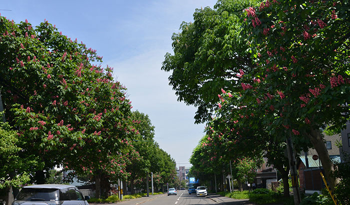 f0212586_68435.jpg