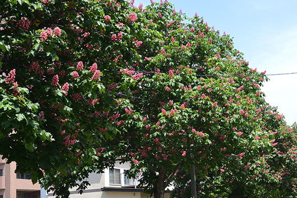 f0212586_685799.jpg