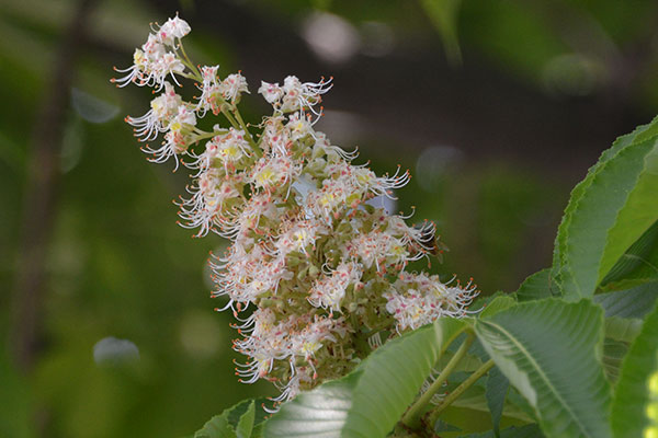f0212586_692259.jpg