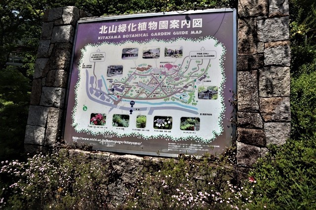 d0181492_06370161.jpg