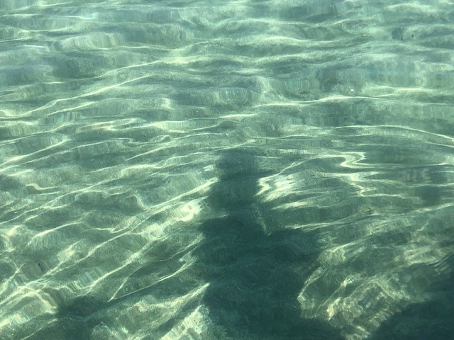 Sunny days!  ／   連日の夏日_b0195093_14105500.jpg