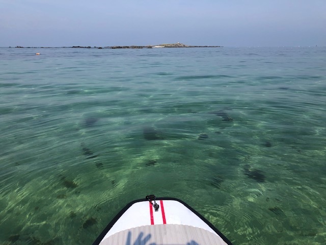 Sunny days!  ／   連日の夏日_b0195093_14110316.jpg