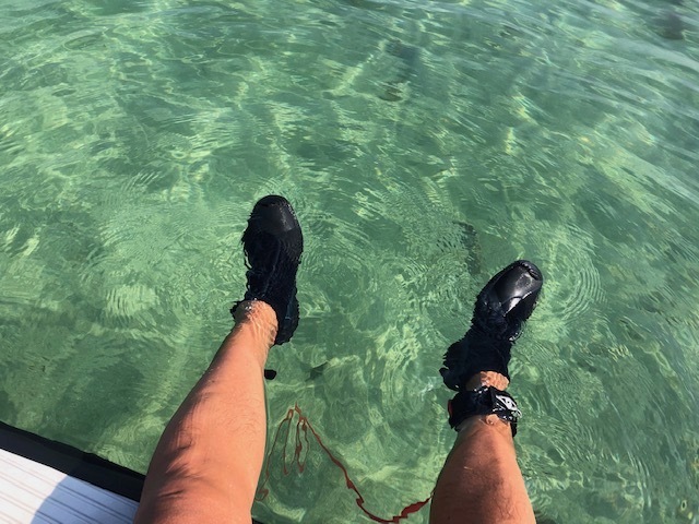 Sunny days!  ／   連日の夏日_b0195093_14111128.jpg