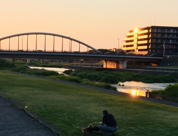 いい天候が続いてます。_b0140797_18140122.jpeg