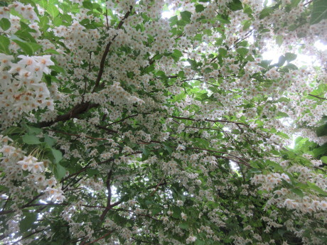 a0203003_15452626.jpg