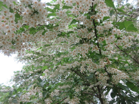 a0203003_15454417.jpg