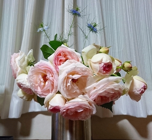 e0289203_22092508.jpg