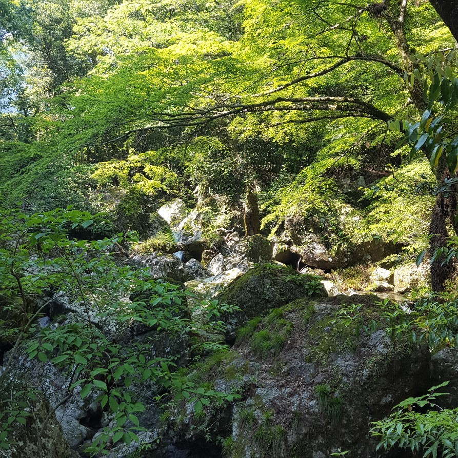 f0182405_18534234.jpg