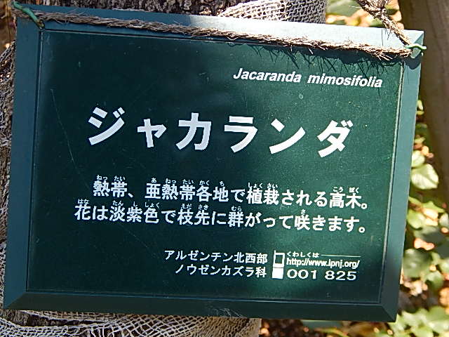 b0352112_00385.jpg