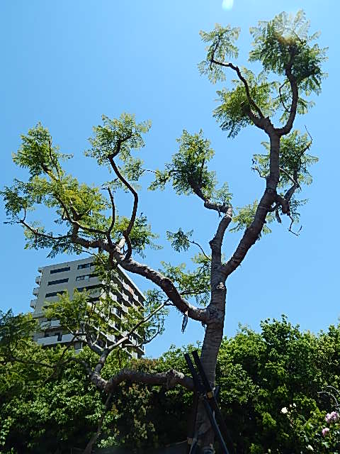 b0352112_0056100.jpg