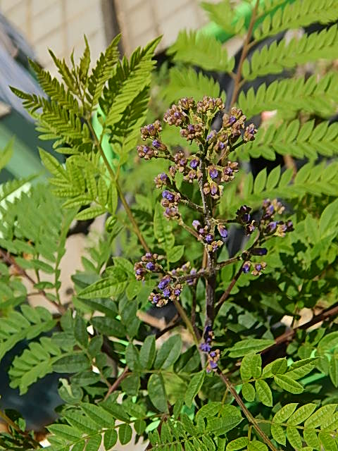 b0352112_022871.jpg