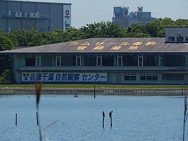b0352112_045798.jpg