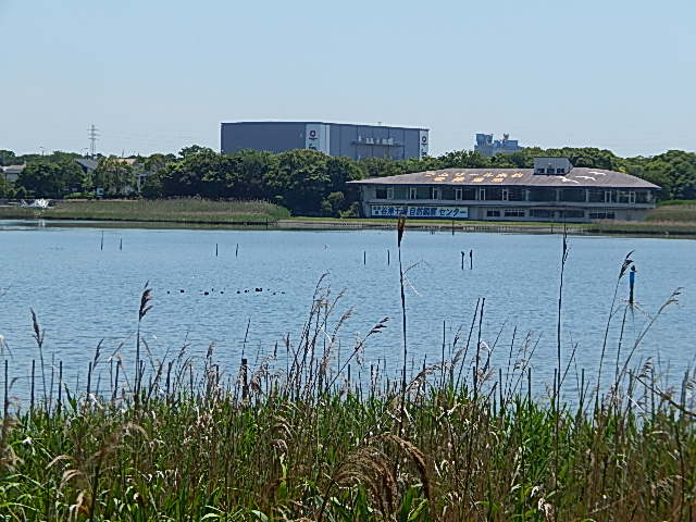 b0352112_052696.jpg