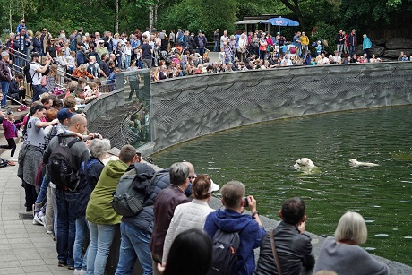 a0151913_6144819.jpg