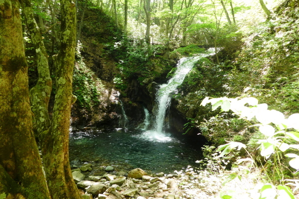 d0170615_09513640.jpg