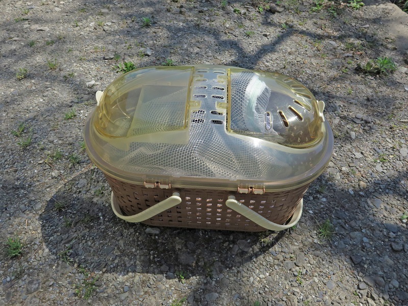 e0349817_22051787.jpg