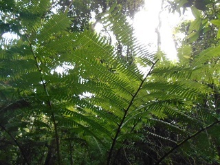 a0242019_05380432.jpg