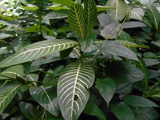a0242019_05404234.jpg