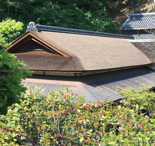臨春閣はすごい 三渓園で檜皮葺 ひわだぶき の工事見学会に参加してみた その２ 役に立たないけれど面白いこと
