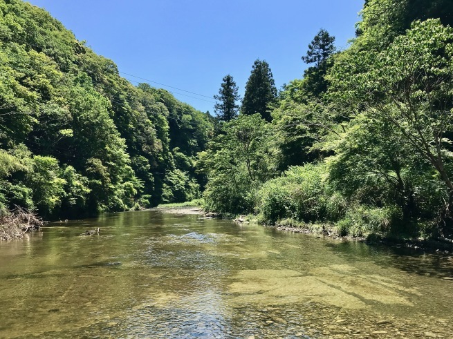 初夏の千葉ドライブ。 その3──「亀岩の洞窟」_d0352022_17450647.jpg