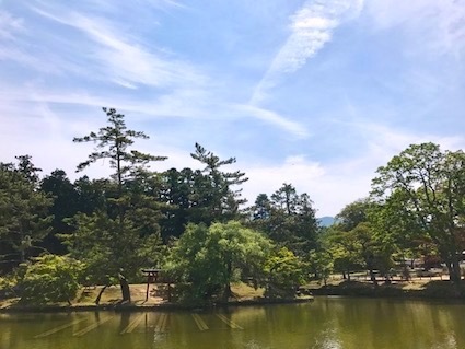 六甲山と瀬織津姫 235 東大寺の弁財天_a0300530_02351382.jpg