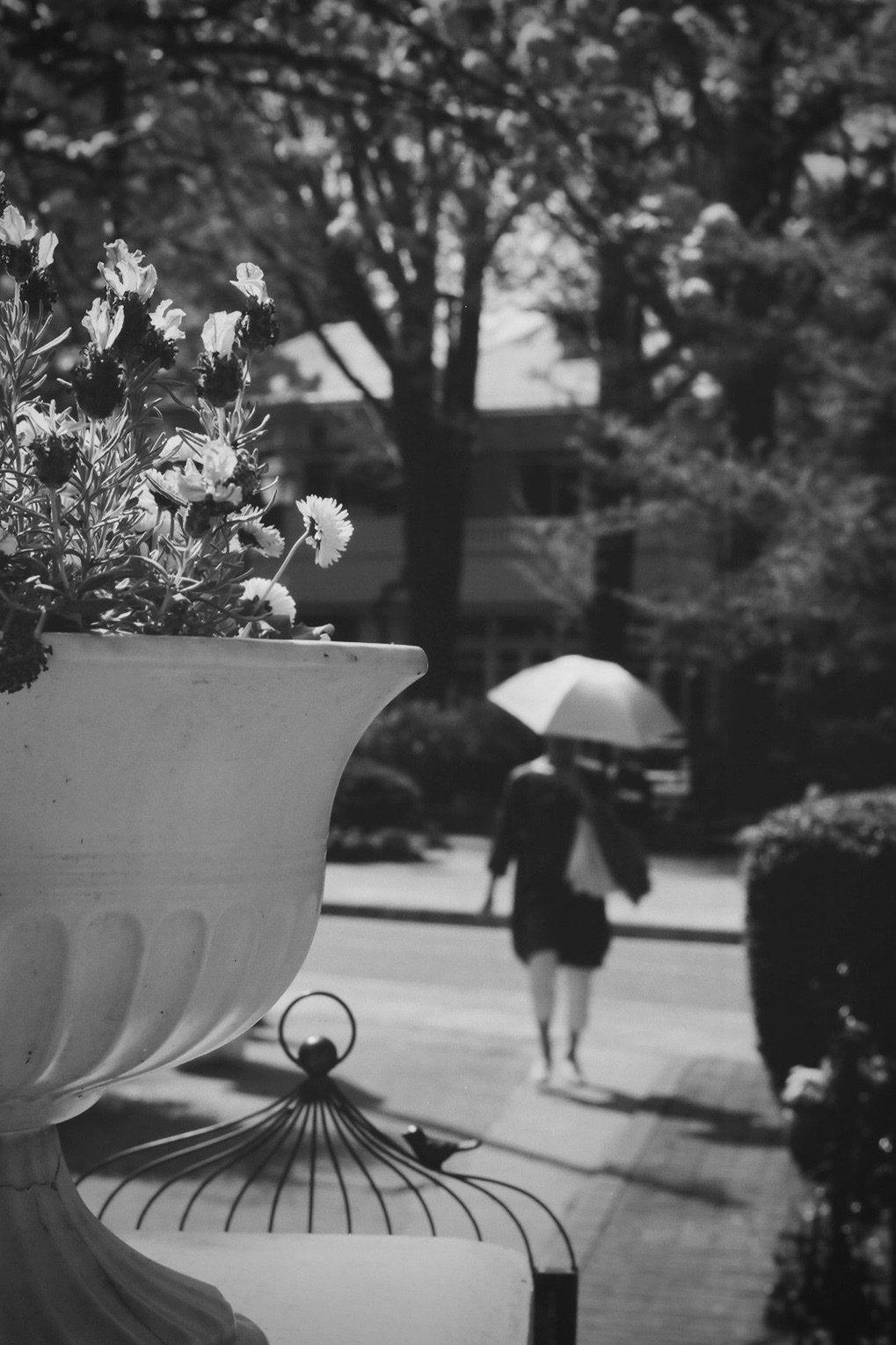 ✿Yokohama_b0330432_21402148.jpeg