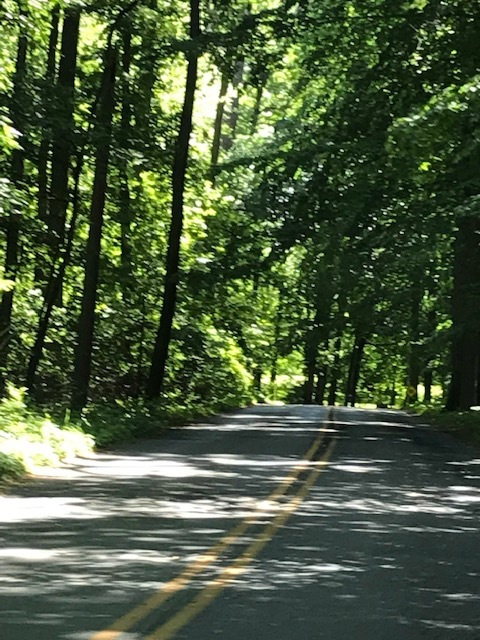 d0269832_02115296.jpeg