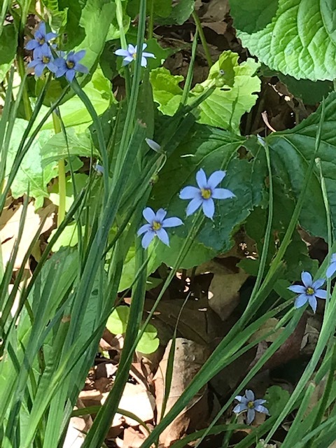 d0269832_02132801.jpeg