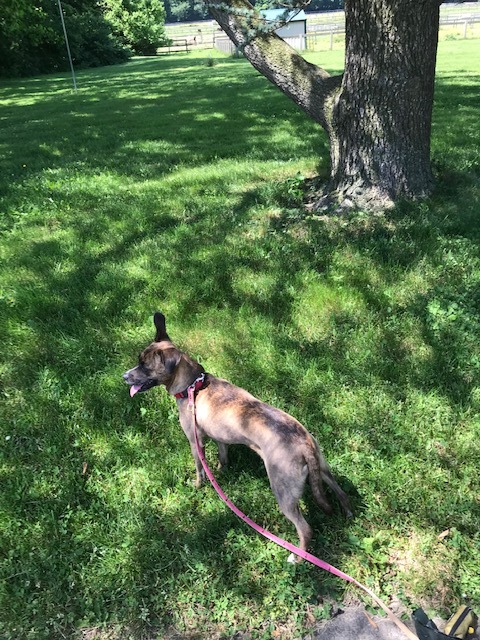 d0269832_02141609.jpeg