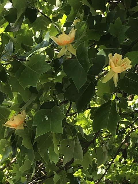 d0269832_02212486.jpeg