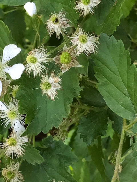 d0269832_02222484.jpeg