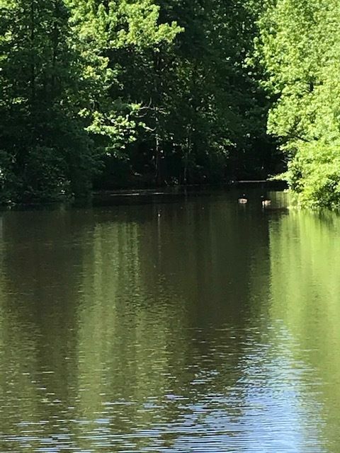 d0269832_02254743.jpeg