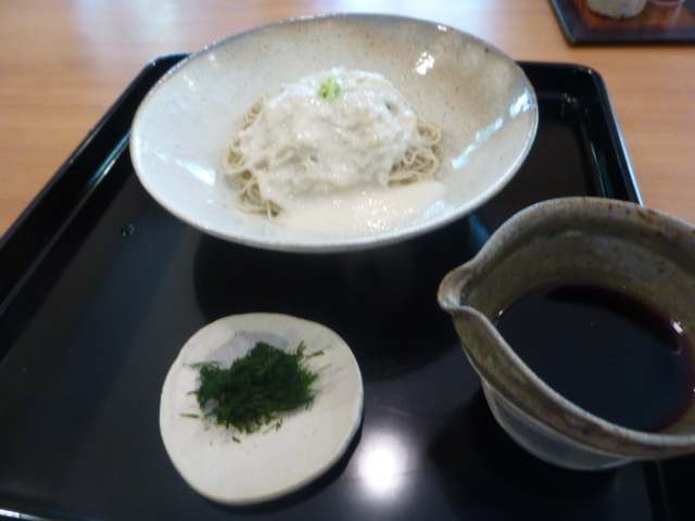 そば切り こごろ 　初訪問　細麺最強_d0106134_22581696.jpg